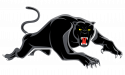 Panthers-Logo-Prim-RGB-Neg